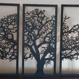 WhatsAppImage20240506at235736jpg Araish Homes